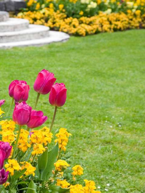 Essential Lawn Care Tips for Spring 2024