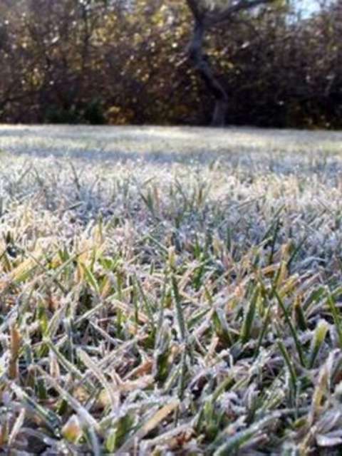 Winter Lawn Jobs: How to Care for Your Grass in Cold Weather