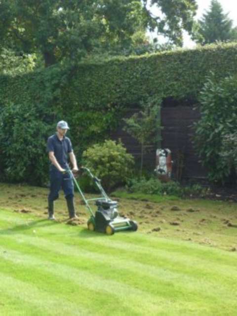 Why You Should Scarify Your Lawn in Spring 2024