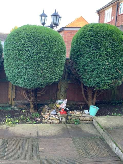 Handy Andy Hedge Trimming