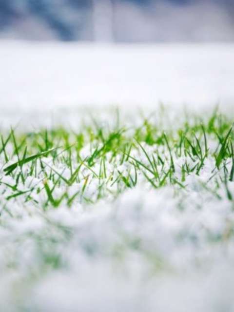 Lawn Care Tips For Winter